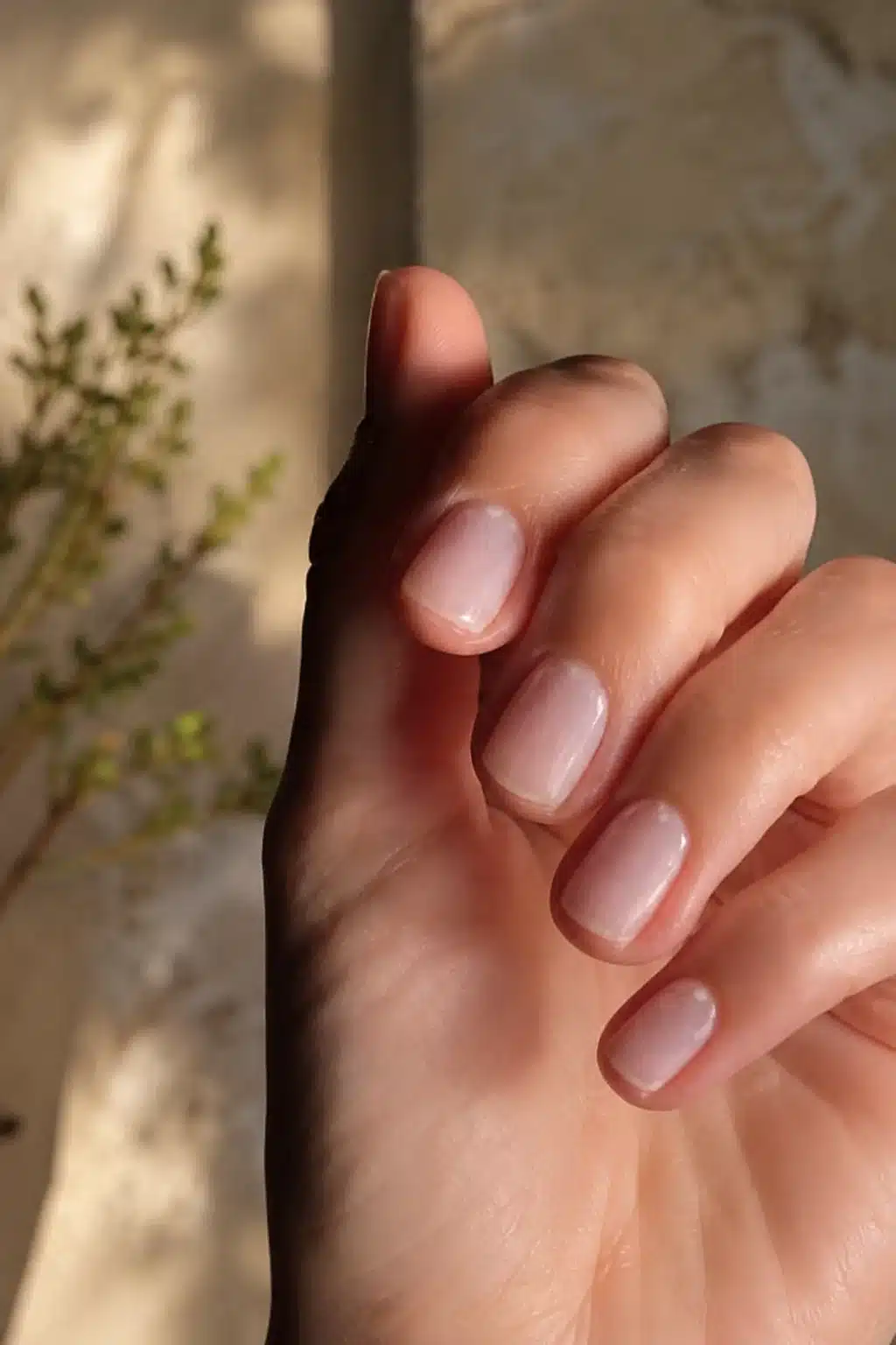 Milky Nude Nail Polish: 10 Soft Shades and Glossy Ideas 6 Rosy milky nude nails