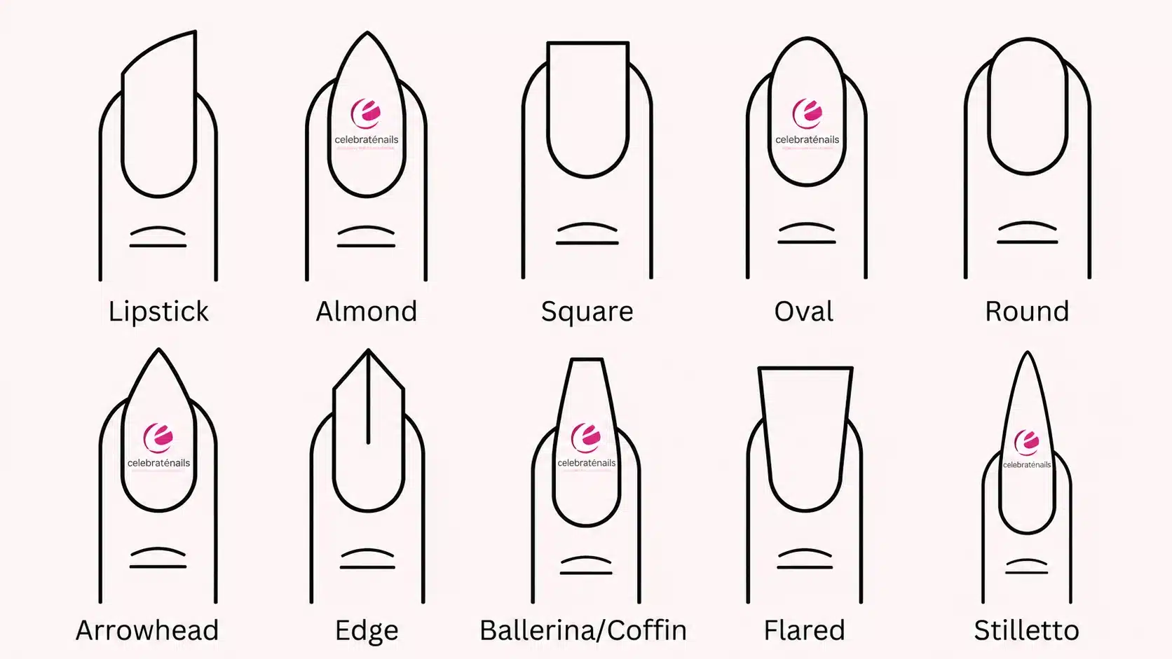 Almond vs Coffin Nails: Which Shape Is Right for You? 9 Nail shape chart including almond and coffin