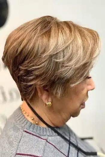 Soft Pixie-Bob With Dimensional Highlights