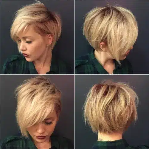 Tousled Blonde Pixie Bob